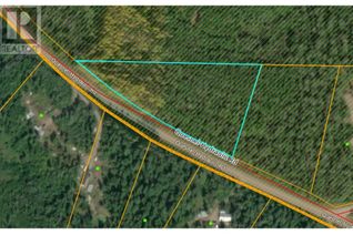 Land for Sale, 1 Quesnel Hydraulic Road #LOT, Quesnel, BC