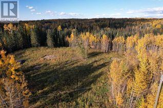 Land for Sale, Lot 5 114046 Township 590, Rural Woodlands County, AB