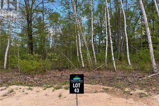 Land for Sale, Lot 43 Sandy Shores Trail, Barry's Bay, ON