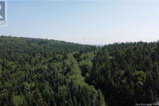 Property for Sale, - Highway 111, St. Martins, NB