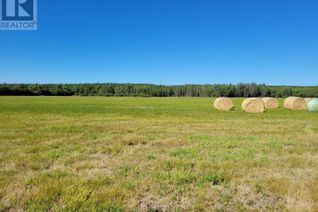 Land for Sale, Sw1/4 Sturgeon Point Road, Vanderhoof, BC