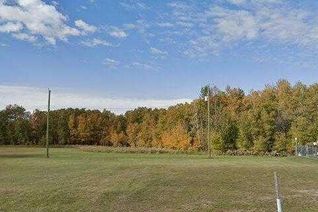 Land for Sale, 4824 52 Street, Mirror, AB