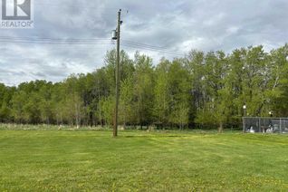 Land for Sale, 4824 52 Street, Mirror, AB