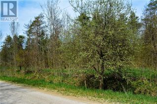 Commercial Land for Sale, 3 Concession #CON 3 EGR, Chatsworth, ON