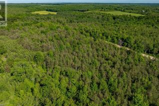 Commercial Land for Sale, Con 3 Egr Pt Lot 62 Pcl 2 Concession, Chatsworth, ON