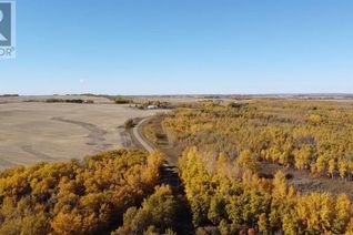 Commercial Farm for Sale, 22301 Township Road 382, Rural Red Deer County, AB