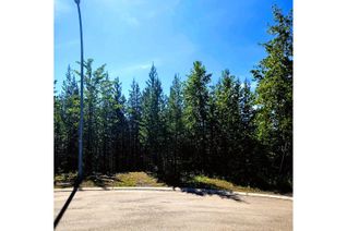 Vacant Residential Land for Sale, 3 Dempsey Place, Elkford, BC