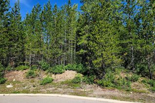 Land for Sale, 6 Dempsey Place, Elkford, BC