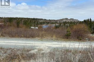 Commercial Land for Sale, Lot 13 Valleyview Road, Georgetown, NL