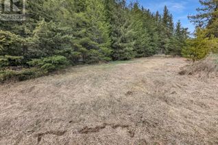 Land for Sale, 217 Candle Creek Road, Clearwater, BC