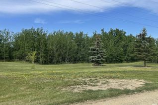 Commercial Land for Sale, Township 494 Range Road 241, Rural Leduc County, AB