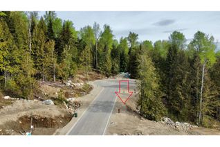 Vacant Residential Land for Sale, Lot 9 Upper Ridge Road, Rossland, BC
