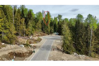 Land for Sale, Lot 5 Upper Ridge Road, Rossland, BC