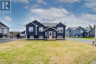 House for Sale, 109 Springfield Road, South River, NL