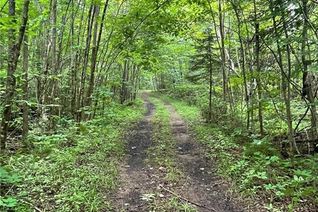 Land for Sale, 1311a Road 506, Northbrook, ON