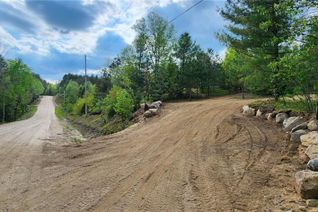 Commercial Land for Sale, 322 Goreville Road, South River, ON