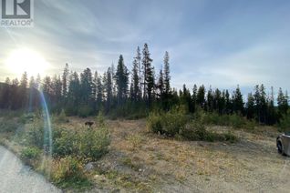 Land for Sale, 19 Buck Road, Oliver, BC