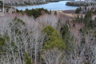 Property for Sale, Lot 46 Marble Mountain Road, West Bay Marshes, NS