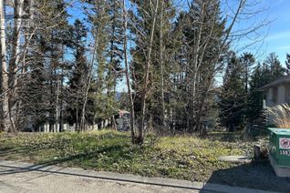 Land for Sale, 274 Calcite Drive, Logan Lake, BC