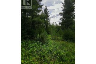 Land for Sale, Lot 14 Park Place, Lac La Hache, BC