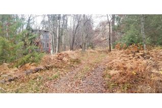 Vacant Residential Land for Sale, Lt 1 & 12 South Poplar Street, Nelson, BC