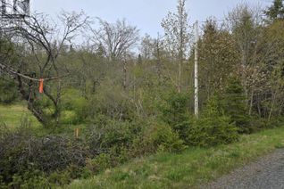 Property for Sale, Lot East River West Side Road, Sunnybrae, NS