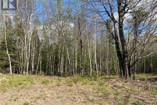 Commercial Land for Sale, 0 Sunset View Lane, Cumberland Bay, NB