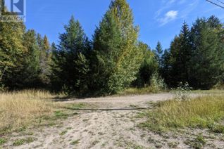 Land for Sale, 148 Clearwater Station Road, Clearwater, BC