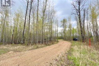 Commercial Land for Sale, 257 Aspen Drive, Whispering Hills, AB