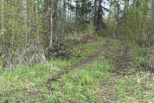 Land for Sale, 606 55504 Nikoodi Rd, Glenevis, AB