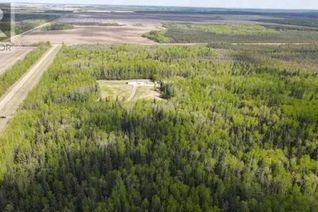 Property for Sale, 82553 Rr 202, Rural Northern Sunrise County, AB