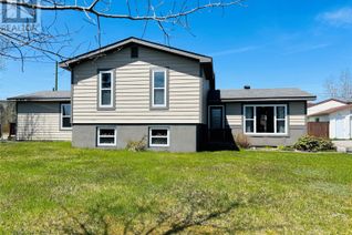 Sidesplit for Sale, 18 Treeview Lane, Northern Arm, NL
