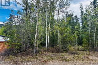 Commercial Land for Sale, 8 Wolverine Place, Tumbler Ridge, BC