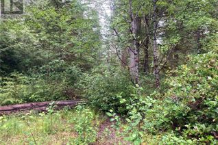 Land for Sale, 1380 Pacific Rim Hwy, Tofino, BC