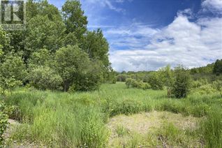 Commercial Land for Sale, 0 Maple Road, Bonfield, ON