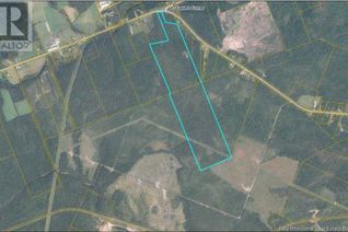 Commercial Land for Sale, 6664 Route 10, Upper Salmon Creek, NB