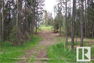 Commercial Land for Sale, 33 57108 Range Road 220, Rural Sturgeon County, AB