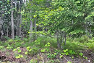 Vacant Residential Land for Sale, Lot 2 West Lake Drive, Christina Lake, BC