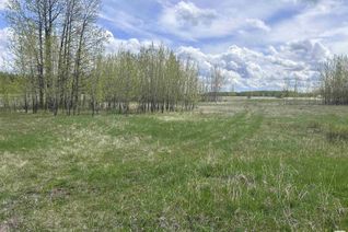 Commercial Land for Sale, 206 49505 Range Road 80, Rural Brazeau County, AB