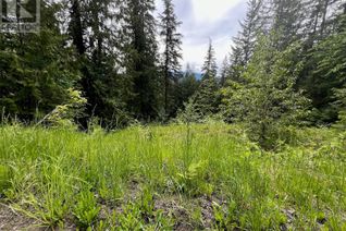 Commercial Land for Sale, Lot 131 Vickers Trail, Anglemont, BC