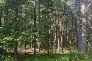 Property for Sale, Lot Pid 60493061 Huey Lake Road, Mount Pleasant, NS