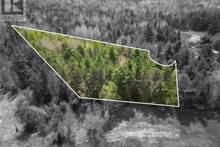 Vacant Residential Land for Sale, Lot 97-1 Des Pins, Saint-Charles, NB
