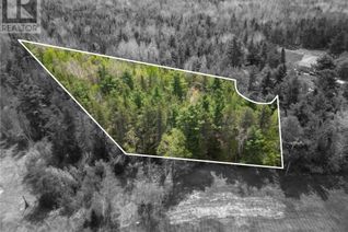 Land for Sale, Lot 97-1 Des Pins, Saint-Charles, NB