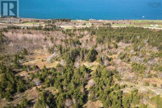 Land for Sale, Highway 19, Creignish, NS