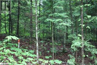 Commercial Land for Sale, 0 Quarry Road, Bancroft, ON