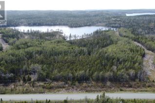 Property for Sale, Lot 2 Grandique Road, Arichat, NS