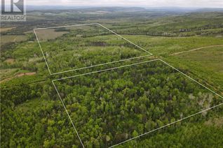 Commercial Land for Sale, Lot Cemetery Road, Whites Mountain, NB