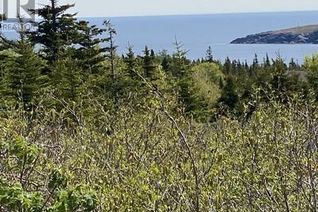 Property for Sale, 18-24 Farm Road, Western Bay, NL