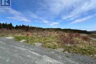 Commercial Land for Sale, 22 Simon Place, Spaniards Bay, NL