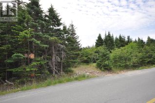 Commercial Land for Sale, 71 Patrick's Path, Torbay, NL